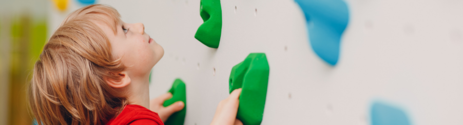 Climbing Holds Climbing Holds