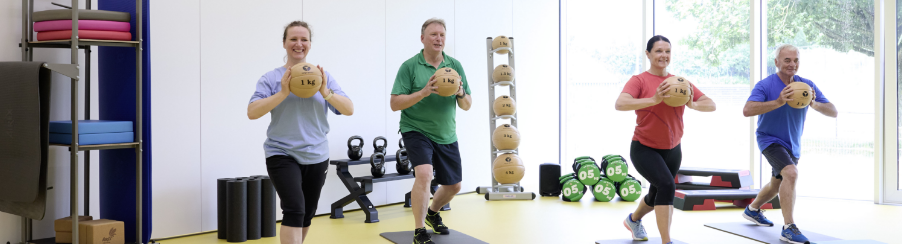 Leather medicine balls