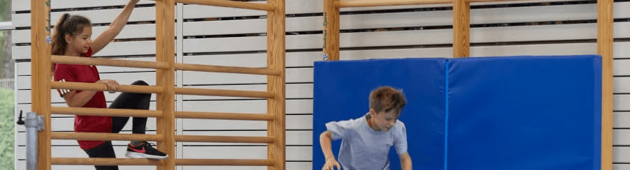 Wall Bars