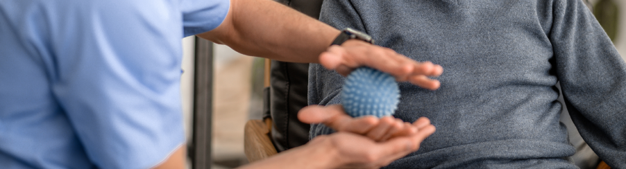 Therapy Balls