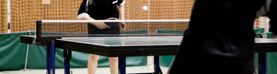 Table Tennis Tables Indoor