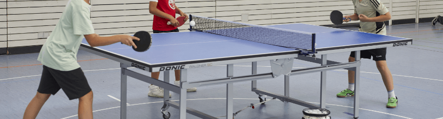 Folding table tennis tables