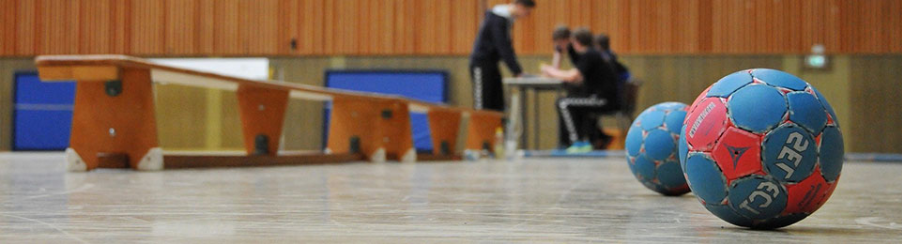 Training Handball Balls Training Handball Balls