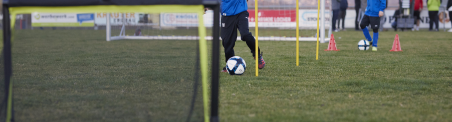 Training Soccer Balls