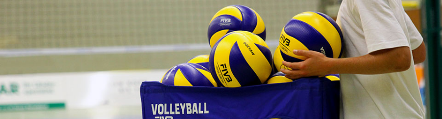 Training Volleyball Balls