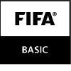 fifa_basic